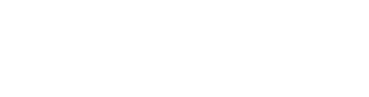 Dedicated Server Seçimi Türkçe ve İngilizce Dark Mode